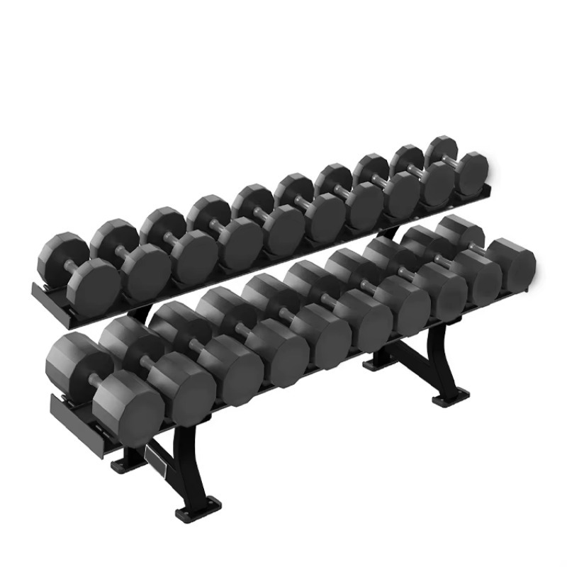 2-Tier 10 Pairs Dumbbell Stora - Heavy Equipment Storage review and price